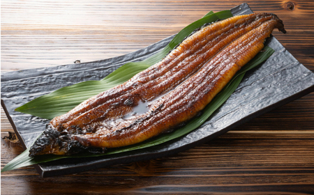 【6回定期便】 極上国産うなぎ四万十桜 蒲焼き3尾 たっぷり大サイズ / 国産 高知 四万十 うなぎ ウナギ 鰻 蒲焼き うな重 惣菜 贅沢 【有限会社もりた】[ATHE010]