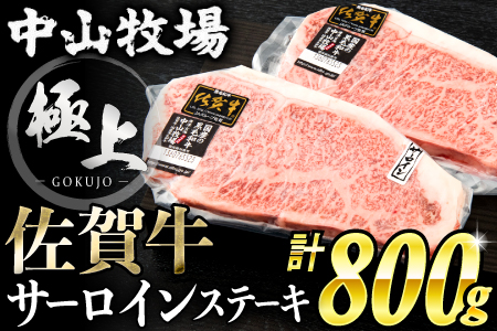 佐賀牛「サーロインステーキ」800g G-186