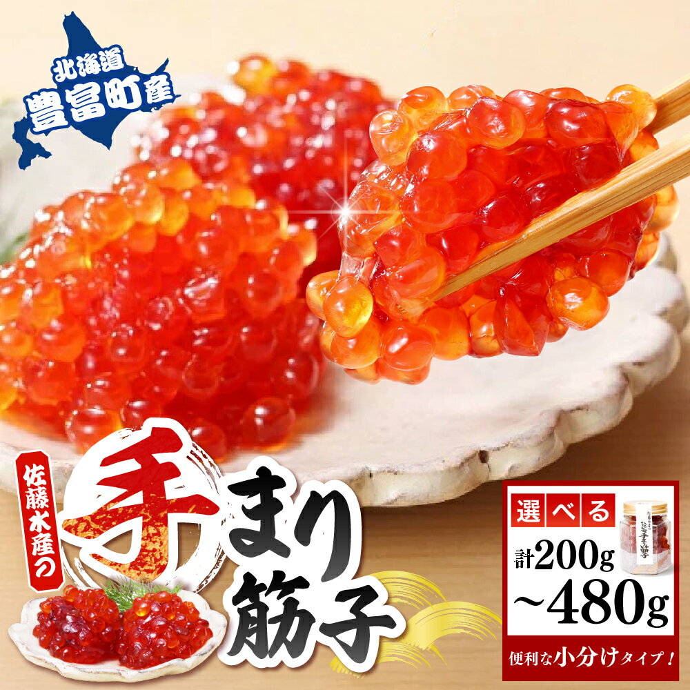 【ふるさと納税】《化粧箱入》 ひとくち 手まり筋子 ( 選べる : 瓶入り 2本 200g / 瓶入り 3本 300g / パック入り 4個 480g ) | 筋子 すじこ 魚卵 海鮮 魚介 秋鮭 秋サケ 鮭 サケ 贈り物 ギフト 国産 北海道産 冷凍 北海道 豊富町 【KAT-305】【KAT-300】【KAT-200】