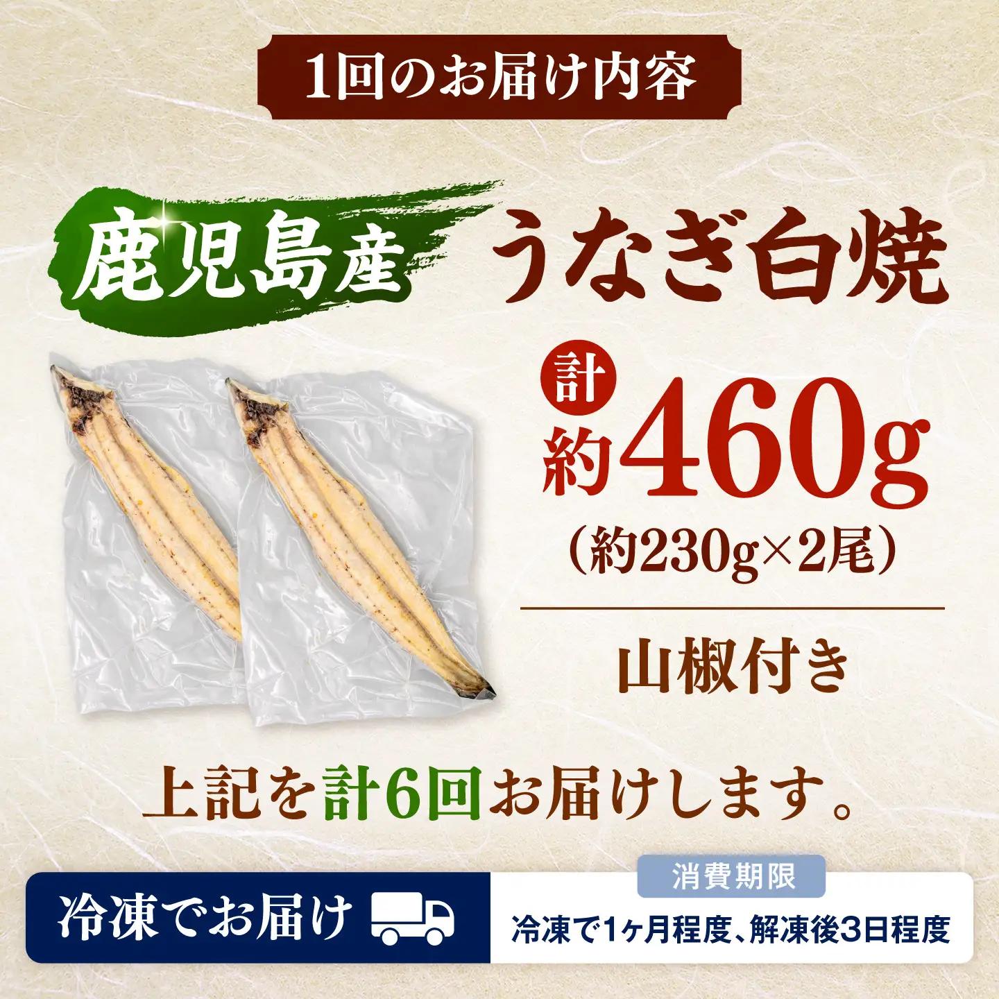 全6回定期便 鹿児島産うなぎ 白焼2尾セット 桂川町/山水商事 [ADAH016] ウナギ 鰻 白焼き 白焼 定期便