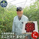 【ふるさと納税】北海道伊達産 ミニトマト まゆか 1kg とまと 甘い　【 野菜 北海道産 北海道野菜 緑黄色野菜 食材 サラダ トッピング 】　お届け：2024年7月下旬～9月下旬まで