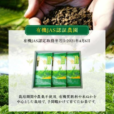 ふるさと納税 南九州市 お茶で健康!こだわりの知覧茶3本セット |  | 01