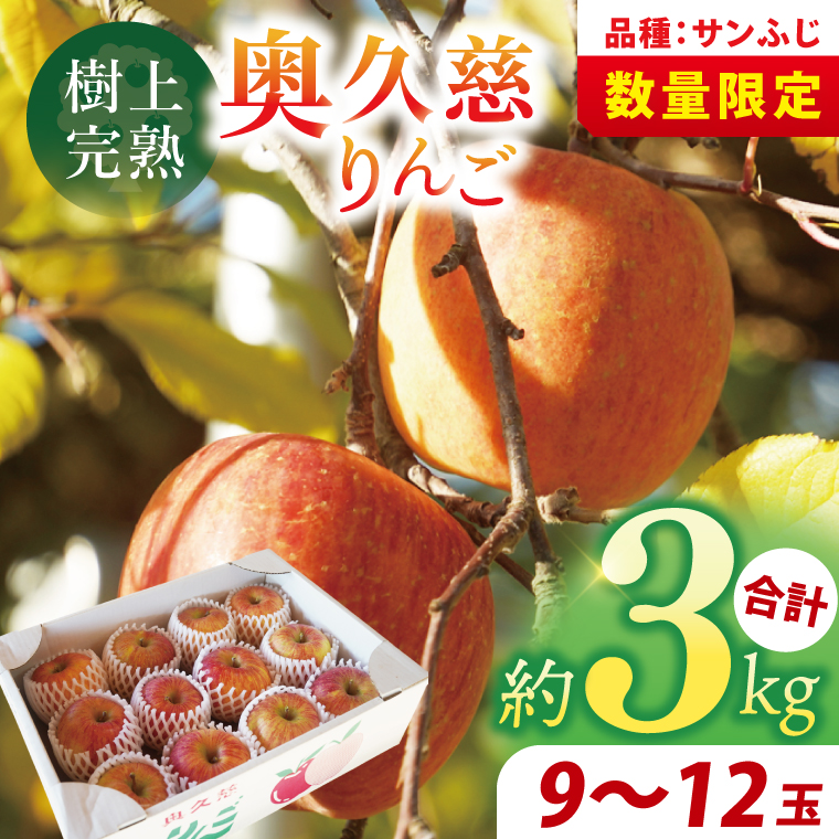 【仲野りんご園】樹上完熟の奥久慈りんご「サンふじ」約3kg（9～12玉）｜茨城県 大子町 林檎 アップル 果物 フルーツ シャキシャキ みずみずしい 旬 秋 味覚 ギフト 贈答（DF001）