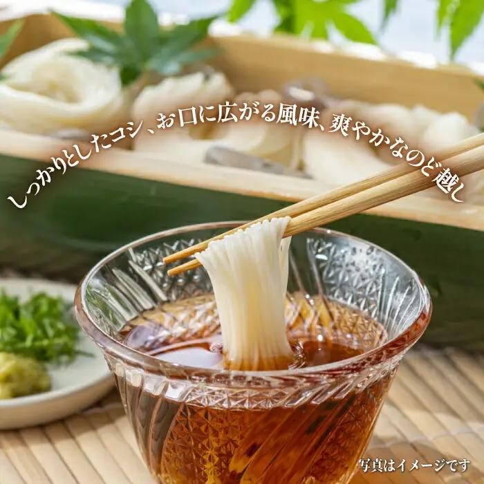 手延べそうめん 2種詰め合せ 計10箱 [SCM011] そうめん