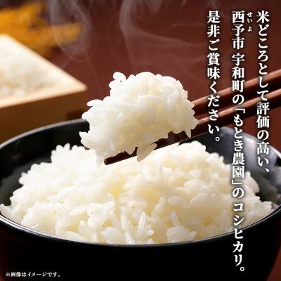 ふるさと納税 西予市 【先行受付】新米<令和8年産 愛媛県西予市産 コシヒカリ 10kg> お米 もとき農園 |  | 01