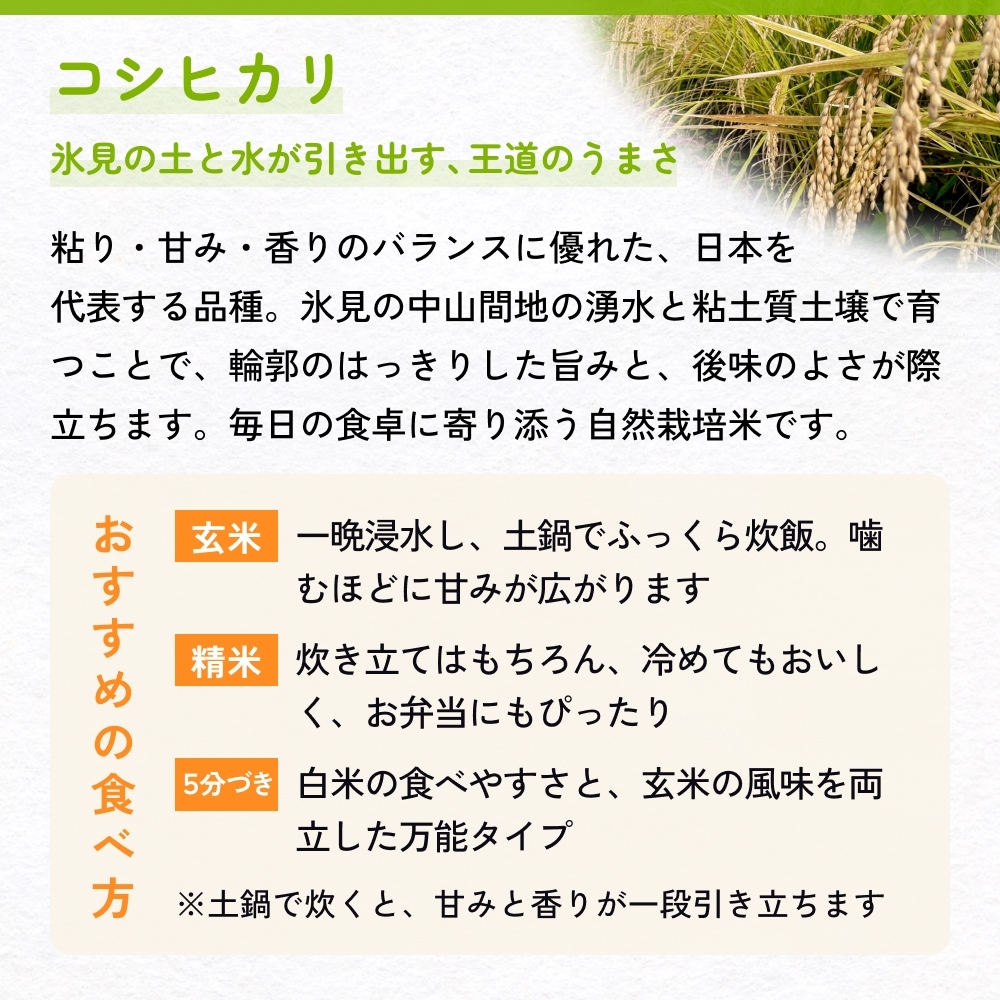【交響するお米】［玄米］自然栽培 コシヒカリ 5kg（富山県 氷見市 / 令和7年産） |   移住農家が里山から直送 米 こしひかり
