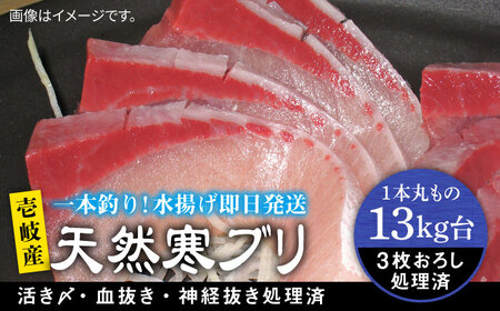 壱岐島産天然寒ブリ（13ｷﾛ台・3枚おろし）[JBS112]