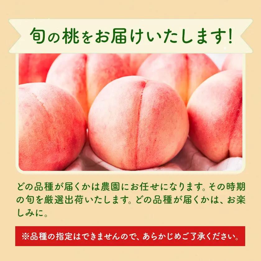桃 niki農園 直送 あらかわの桃 約2kg 5-8玉 And《2026年6月下旬-8月上旬頃出荷》和歌山県 紀の川市 フルーツ 果物 あら川の桃 【玉数指定不可】