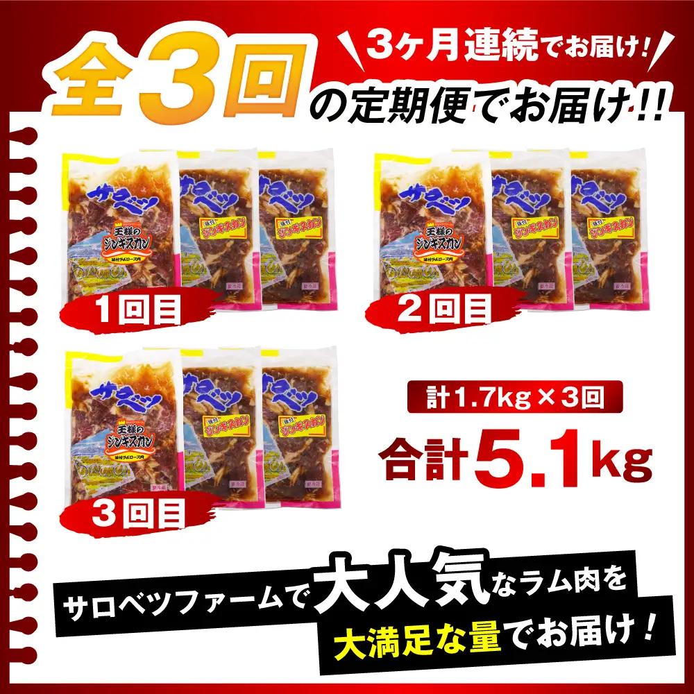 【定期便 3か月】焼肉ジンギスカンセット 計9袋 5.1kg