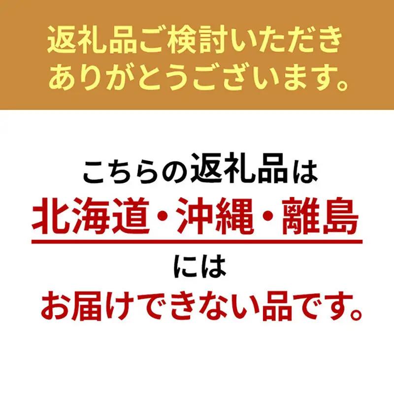 アラエマックス　ダクロン　完全分割着脱式　洗える敷布団　ダブル(araeru-0043)