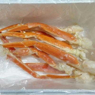 ふるさと納税 根室市 本ズワイガニ肩付足6〜10本(計400g前後) A-57064 |  | 01