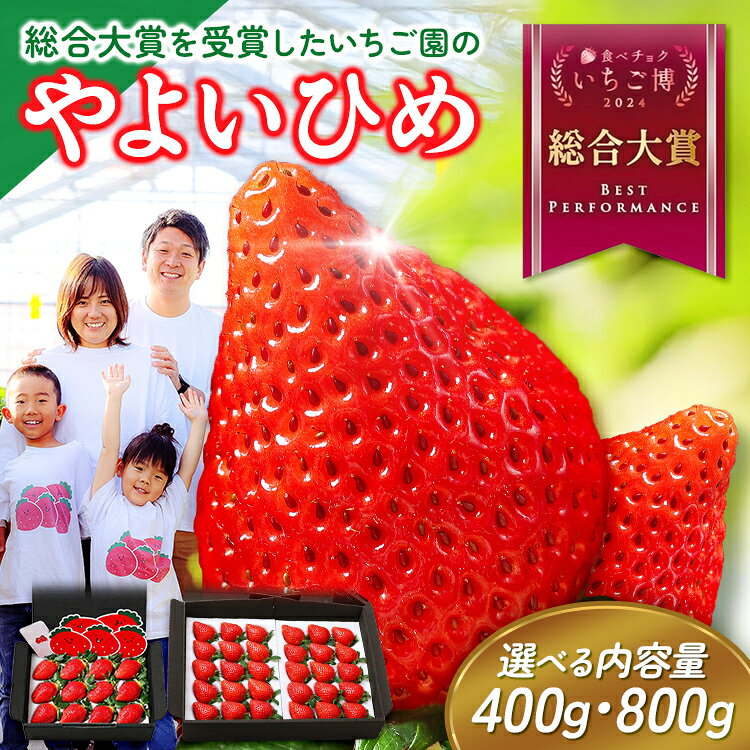 【ふるさと納税】【選べる内容量】【いちご博総合大賞】やよいひめ （約400g・約800g） | いちご ストロベリー 新鮮 完熟 大粒 果物 フルーツ 産地直送 農家直送 国産 人気 おすすめ 高級 ギフト 贈答 大賞受賞 高評価 群馬県 伊勢崎市 先行受付 先行予約 ※2027年1月～発送
