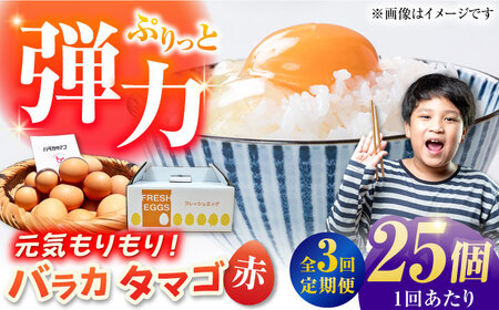 【全3回定期便】【箱入り】バラカタマゴ 25個入 M-Lサイズ 卵 玉子 たまご 国産 五島市 / 五島列島大石養鶏場 [PFQ057]
