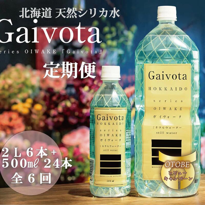 【ふるさと納税】 ＜定期便　Gaivota2箱（500ml×24本＋2L×6本）×6回分＞　北のハイグレード食品　北海道乙部町の天然シリカ水 ミネラルウォーター シリカウォーター 軟水 北海道 乙部町 天然水 美容 ケイ素 無添加 シリカ ガイヴォータ コーヒー リピーター 6か月