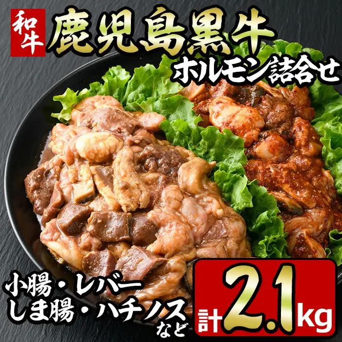 No.790 鹿児島黒牛のホルモンのタレ味と旨辛味の詰合せ(合計2.1kg・300g×7P) 国産 九州産 鹿児島県産 黒牛 和牛 牛肉 お肉 ホルモン モツ 小腸 レバー しま腸 ハチノス 詰め合わ