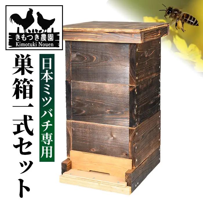 【D98001】日本ミツバチ用 巣箱一式 飼育箱 完成品 ボックス 箱 杉材 木箱 日本 ミツバチ 飼育 巣箱 蜂 蜂蜜 ハチミツ 養蜂 日本みつばち 木工品 観察 組立品 自然 国産 重箱 低箱 底板 巣門 天板 すのこ 【きもつき農園】