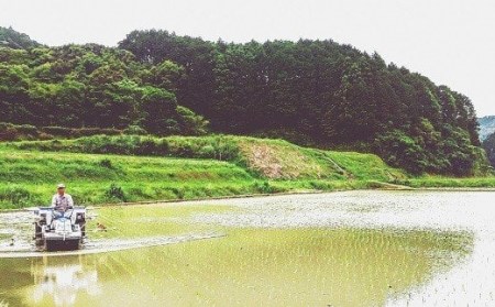 白米 10kg 空海ゆかりの里 うまにのおいしいお米 ［1533］