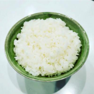 ふるさと納税 阿見町 茨城県共通返礼品/美浦村【令和7年産】茨城県産コシヒカリおかだいらの恵10kg　精米(5kg×2袋) |  | 01