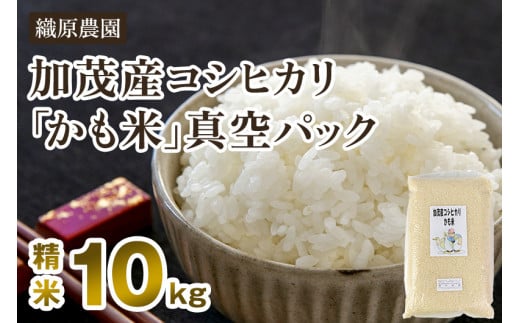 【令和7年産】新潟産コシヒカリ「かも米」精米10kg（5kg×2袋）《10月上旬～順次出荷》 白米真空パック 【無農薬・無化学肥料】 従来品種コシヒカリ 加茂市 織原農園