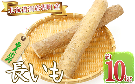 長いも（春夏出荷）約10kg ※5月上旬～7月下旬 順次出荷 野菜 野菜セット 