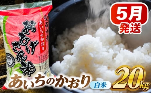 【5月発送】あいちのかおり 白米 20kg 米 お米 20kg 20キロ 白米 精米 コメ ご飯 ごはん 愛知県産 国産 県産米 国産米 あいちのかおり 発送 時期 選べる 産地直送 大容量 令和7年 愛西市 / 脇野コンバイン [AECP003-8]
