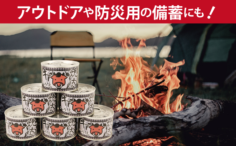 牛焼肉ハラミ缶詰 6缶セット【厚切り 牛ハラミ サガリ おかず おつまみ 防災 備蓄 非常食】 010B1815