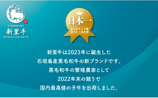 ＜期間限定 春フェア＞ 石垣島産 黒毛和牛 新里牛 リブロースステーキ（200g×2）合計400g SZ-29