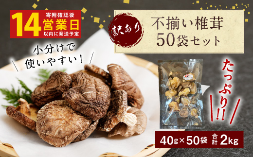 015-963x1 【14営業日以内発送】 不揃い 椎茸 50袋セット 40g×50袋 合計2kg 干し椎茸 乾燥 しいたけ ギフト