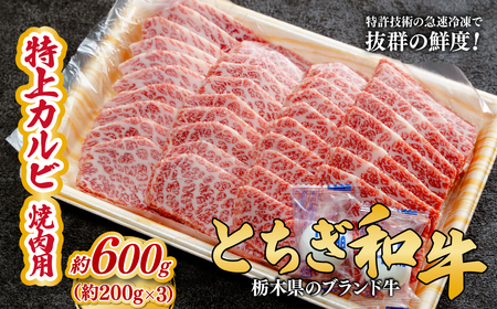 とちぎ和牛の特上カルビ 焼肉用 600g（200g×3）【栃木県共通返礼品】 | 牛肉 カルビ 栃木県 茂木町