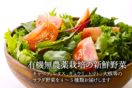【月に一度はカレーの日】手作りカレーとサラダ野菜セット（半年パスポート）