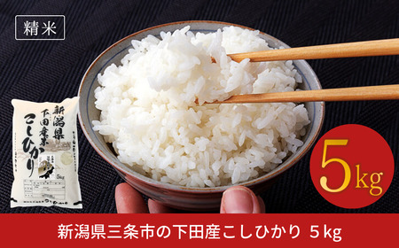 新潟県三条市下田産コシヒカリ 5kg 令和7年産 新潟県産コシヒカリ 精米 白米