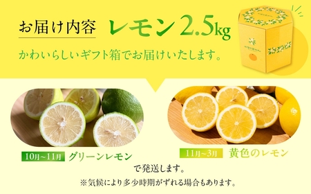 旬のレモン 2.5kg レモン グリーンレモン 檸檬 緑 グリーン レモン 柑橘 柑橘類 フルーツ 果物 旬 レモネード レモン ケーキ レモンティー に 愛知県 田原市 渥美半島
