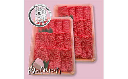 鳥取和牛モモスライス　冷凍500g×2_T2600317