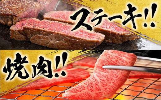 【令和7年12月から毎月配送】赤身肉の3か月定期便 数量限定 黒毛和牛 赤身 牛肉 お楽しみ 定期便 総重量1.3kg 肉 焼肉 ステーキ すき焼き しゃぶしゃぶ スライス 牛丼 赤身もも 国産 食品