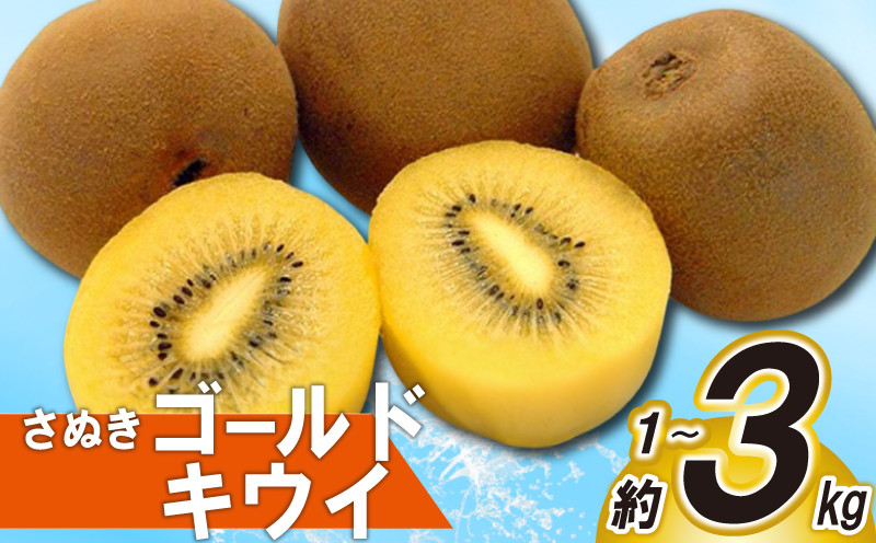 
            先行予約 キウイ 約1kg 2kg 3kg キウイフルーツ ゴールドキウイ さぬきゴールドキウイ 果物 果実 フルーツ 旬 デザート 選べる 容量 10月下旬～12月中旬 配送 家庭用 贈答用 ギフト プレゼント 香川県 丸亀市
          