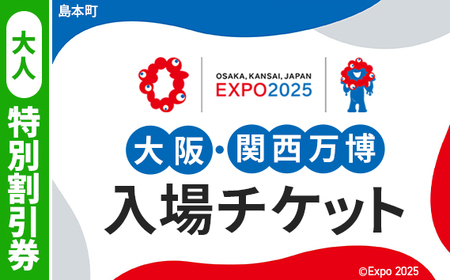 No.161 2025年日本国際博覧会入場チケット 特別割引券（大人）【島本町返礼品】／ 万博 ばんぱく EXPO 2025 大阪万博 関西万博 大阪・関西万博 パビリオン ミャクミャク 大屋根リング いのち 未来 未来社会 環境 グルメ 海外グルメ 国際交流 文化交流 観光 入場券 チケットID 夢洲 大阪府 万博 万博 万博