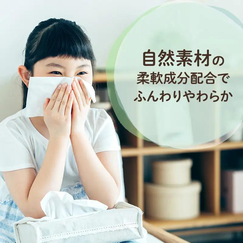 【2回お届け 計100箱】エリエール 北海道 ティシュー なまらたっぷり 300組5箱 10パック 大容量 まとめ買い 防災 常備品 備蓄品 消耗品 日用品 生活必需品 送料無料 赤平市 ストック 