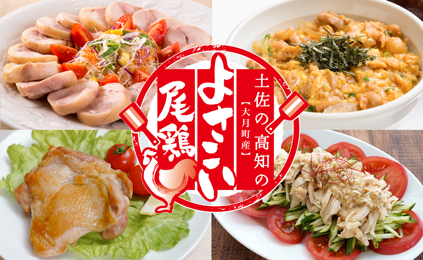 鶏肉 ささみ 1.1kg 定期便 6回 （1.1kg×6回） 鶏ささみ ササミ チキン 若鶏 ブランド鶏 最優秀賞 天皇杯 受賞 小分け 冷凍 骨なし お弁当 ササミフライ 梅しそ 筋トレ 高たんぱく