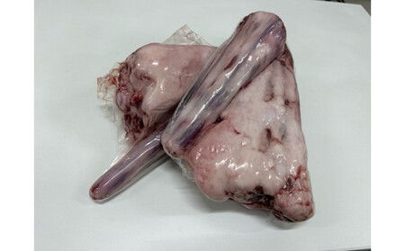 国産牛 テール 丸々1本(約1～2kg)