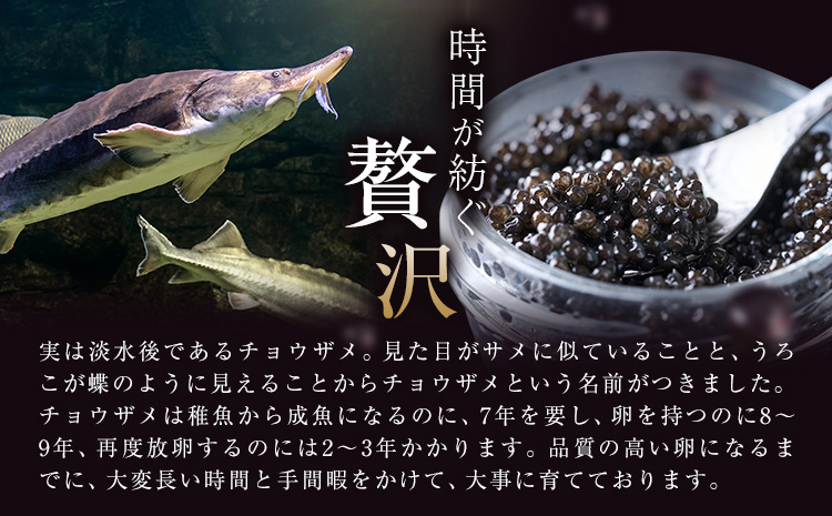 キャビア 純国産キャビア Voeu-Pense 味付き チョウザメ 《12月中旬頃出荷》キャビアフィッシュカンパニー 高級 チョウザメ クラッカー バゲット パスタ 唐揚げ ソテー 茨城県 河内町