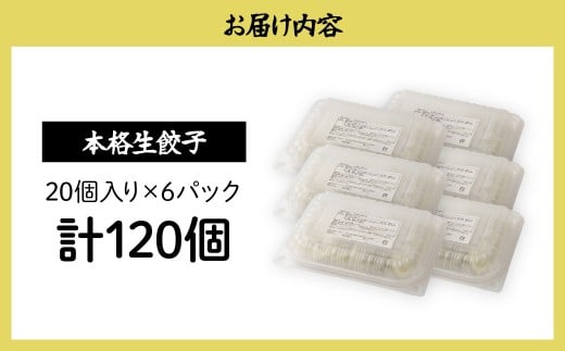 本格生餃子20個×6箱 餃子 120個 人気店の旨味あふれる冷凍餃子 | 大容量 ギョウザ 冷凍餃子 ギョーザ 冷凍ギョウザ 冷凍 冷凍ぎょうざ ぎょうざ ぎょーざ おいしい 手軽 食べ比べ 美味しい