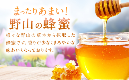 野山みつ 2本（500g×2）　広川町 / 株式会社九州蜂の子本舗[AFAI047]