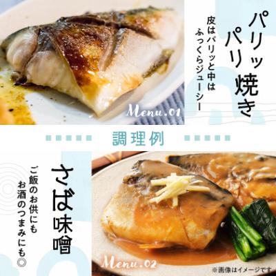 ふるさと納税 館山市 【訳あり】塩さば 20切れ 約2.2kg(個包装) |  | 02