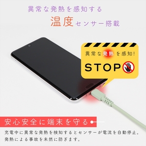 MOTTERU(モッテル) しなやかで絡まない 240W対応 USB-C to USB-C シリコンケーブル 急速充電 データ転送 2.0ｍ カラバリ全8色 ２年保証（MOT-SCB240CCG200
