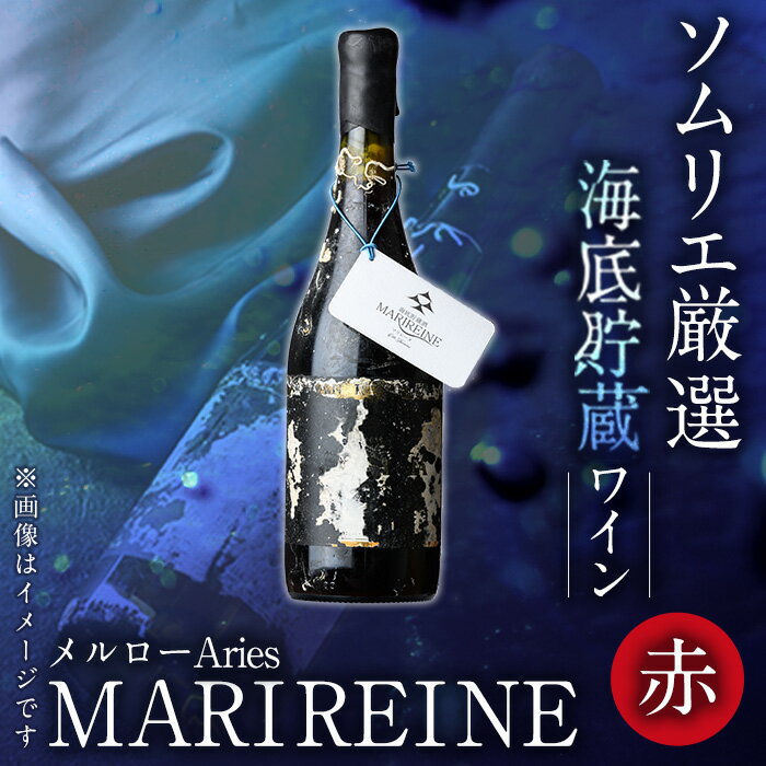 【ふるさと納税】海底貯蔵ワイン 赤 MARIREINE メルローAries2023 (720ml・1本) ワイン 赤ワイン 酒 パーティー 海底酒 熟成 大分県 佐伯市【FP030】【フルタ酒店】