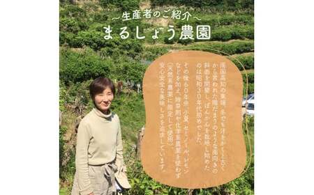 【先行予約】Lサイズ ぽんかん 5㎏　MS2 [MS-02] 【まるしょう農園】