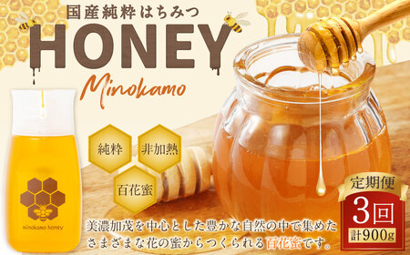 【3ヶ月定期便】国産 無添加 MINOKAMO HONEY はちみつ 1本（300g）×3回 ｜ 藤井養蜂 蜂蜜 非加熱 百花蜜 甘味料 定期便 美濃加茂市
