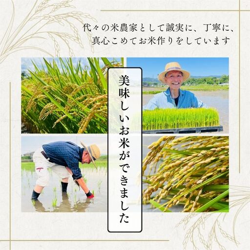 【令和7年産】福岡県飯塚市産 夢つくし 20kg(精米)【E-107】
