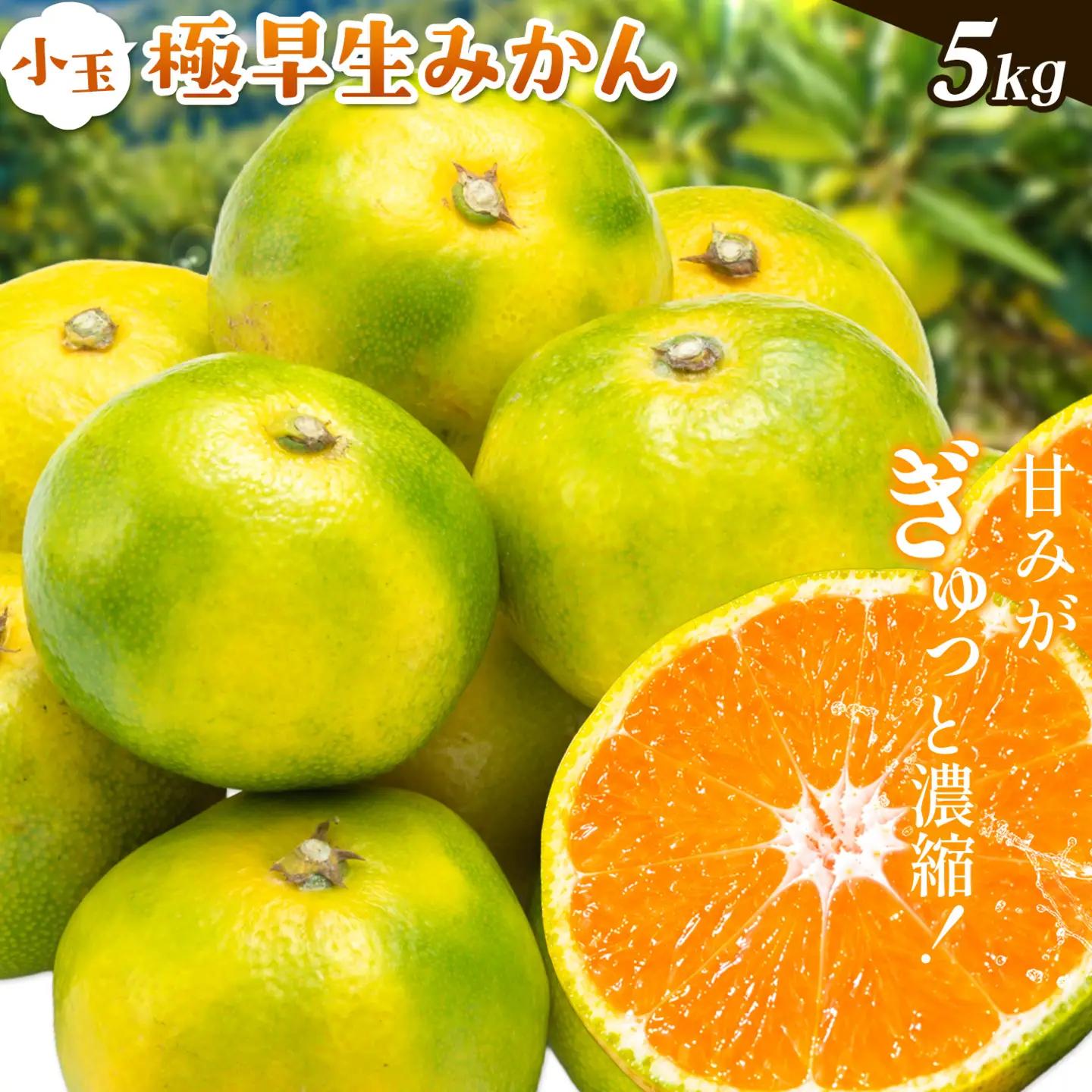 小玉 極早生みかん 5kg