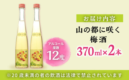 【梅酒品評会受賞】山の都に咲く梅酒 370ml 2本 お酒 地酒 梅酒 お中元 お歳暮 熊本県 山都町 梅酒 高評価梅酒 通潤梅酒 ギフト お酒 梅酒 果実酒 梅酒 熊本県産 母の日 父の日 プレゼン